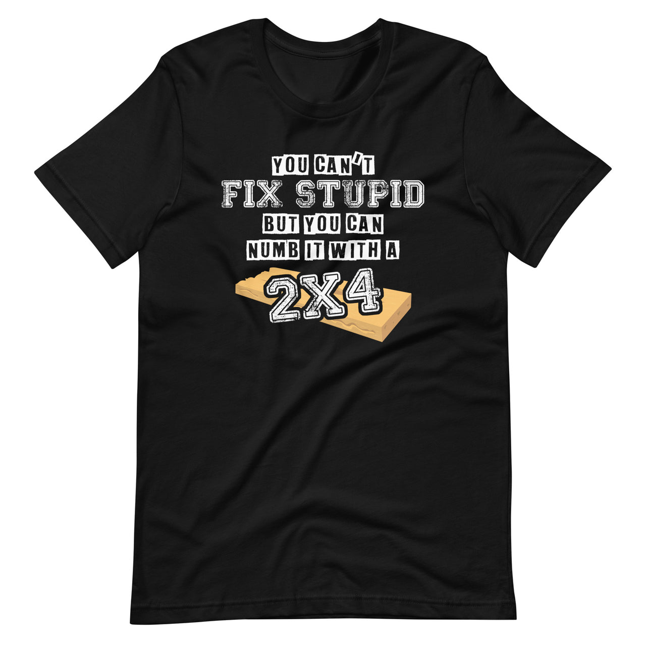 You Can't Fix Stupid But You Can Numb It With A 2x4 - Funny Short-Sleeve Unisex T-Shirt